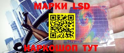 трава Гатчина