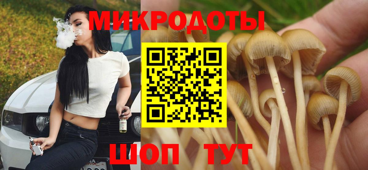 Галлюциногенные грибы Magic Shrooms Шелехов
