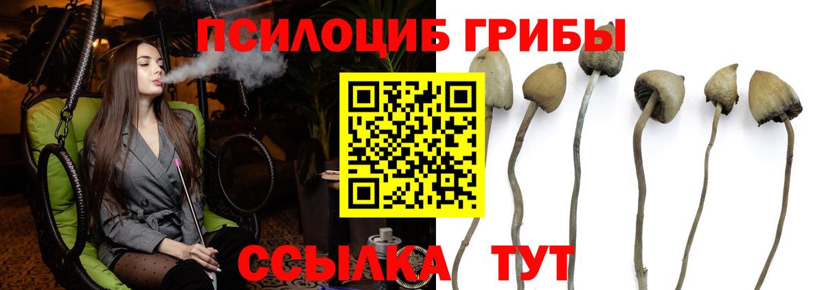 Галлюциногенные грибы GOLDEN TEACHER  Псилоцибиновые грибы MAGIC MUSHROOMS  Вход с VPN  Шелехов 